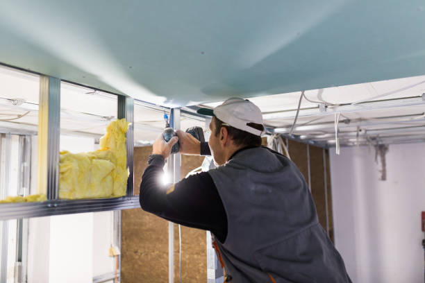 Best Insulation for New Construction  in Ladue, MO