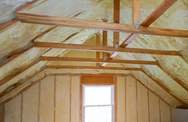 Best Attic Insulation Installation  in Ladue, MO