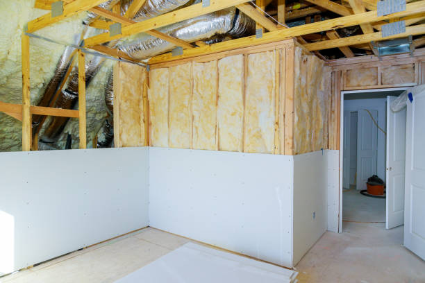 Best Professional Insulation Contractor  in Ladue, MO