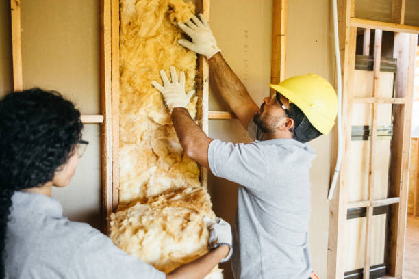 Best Affordable Insulation Services  in Ladue, MO