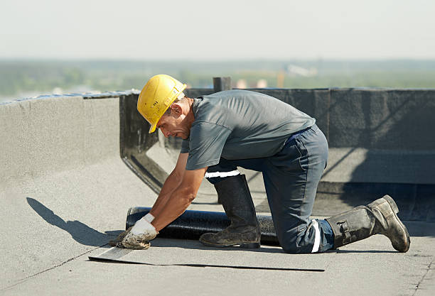 Best Attic Insulation Installation  in Ladue, MO