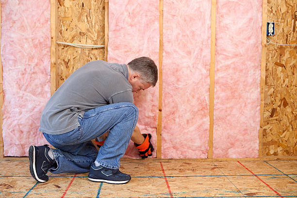 Insulation Repair Services in Ladue, MO