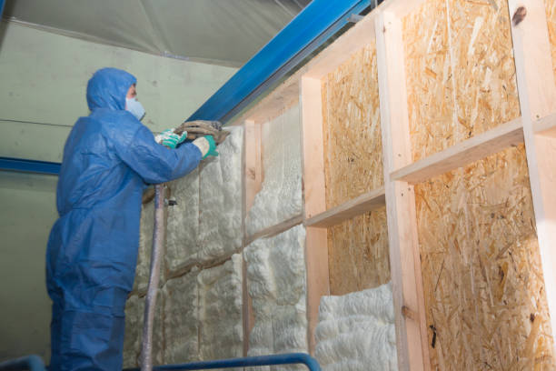 Best Residential Insulation Services  in Ladue, MO
