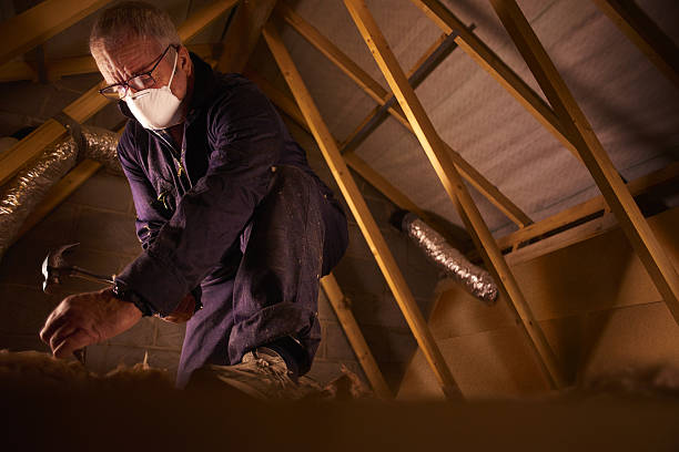Best Garage Insulation Installation  in Ladue, MO