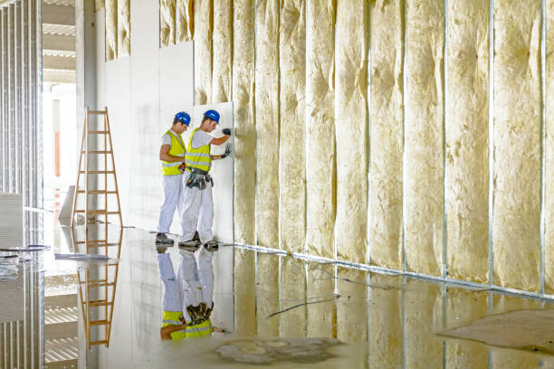 Best Insulation Replacement Services  in Ladue, MO